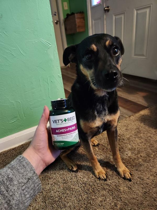 Vet's best aches outlet & pains for dogs