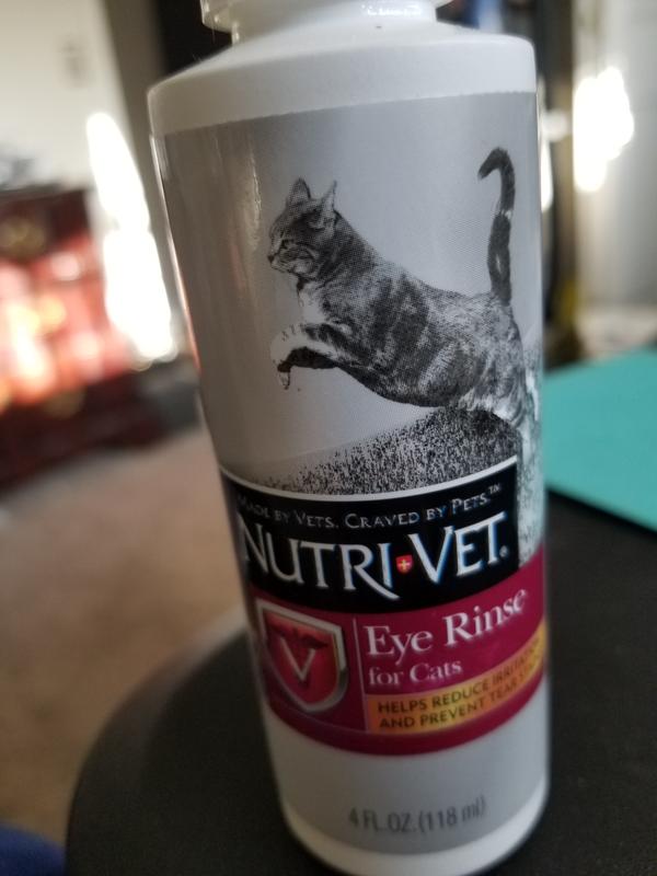 Boric acid eye 2025 drops for cats