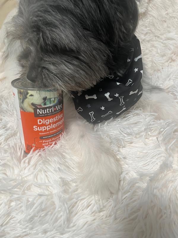 Nutri on sale vet pumpkin