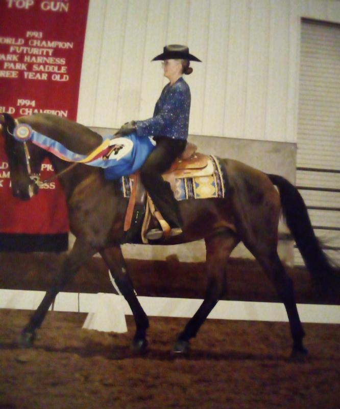My Morgan mare Nicky! At 27 !