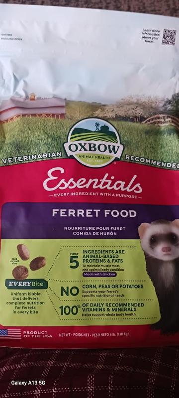 Essentials Ferret Food Oxbow Animal Health