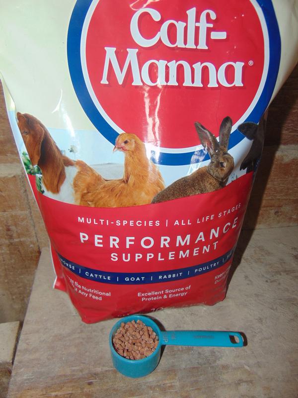 Calf manna for clearance dogs