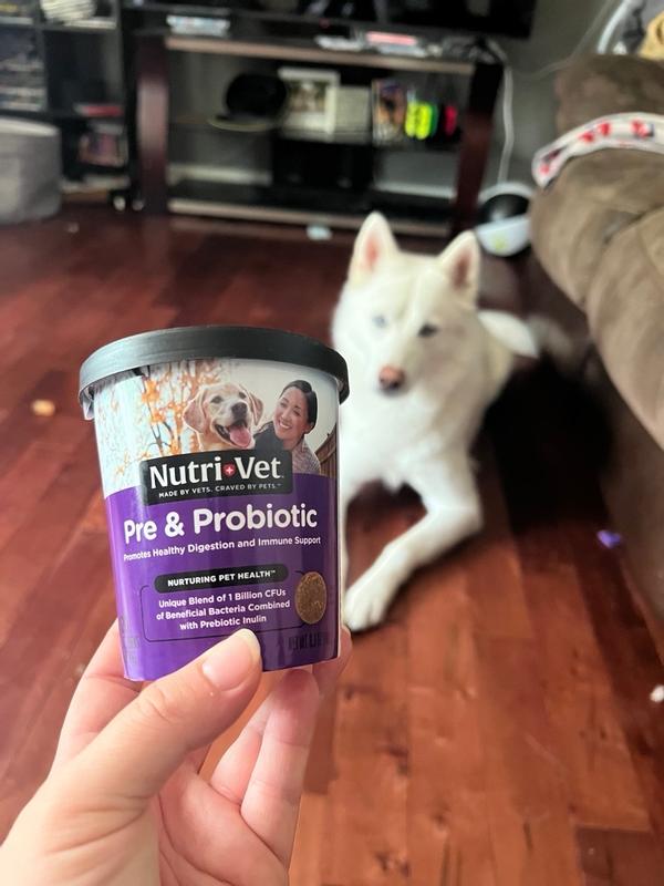 Nutri vet clearance pre and probiotics