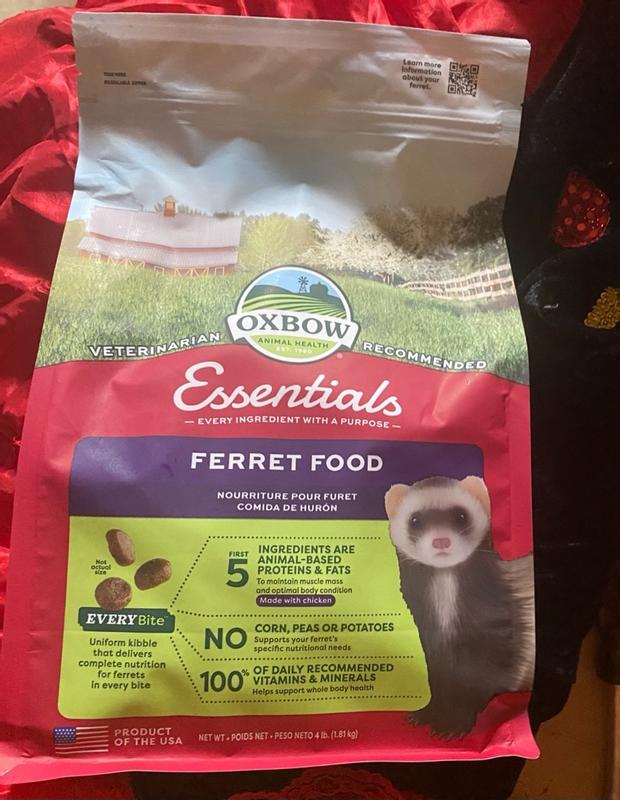 Ferret best sale food price