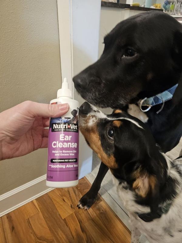 Nutri-Vet Ear Cleanse, nettoyant pour les oreilles pour chien – MEUNERIE  DALPHOND