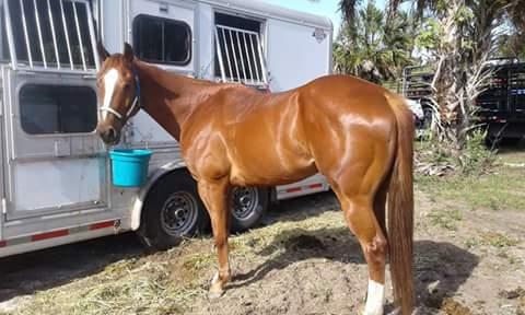 3 weeks since his last bath and still shines