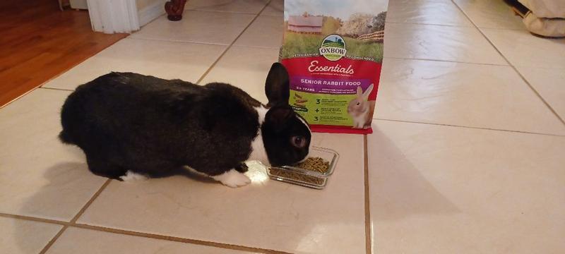 Essentials Senior Rabbit Food - Oxbow Animal Health