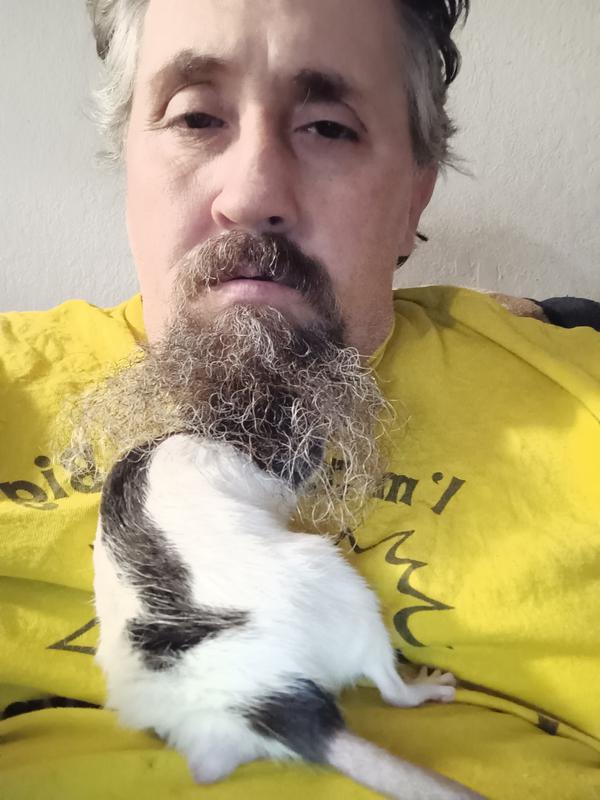 Oxbow Essentials Adult Rat Food - 6 Pound Bag (2 X 3 Pound) Nutritionally Balanced Diet