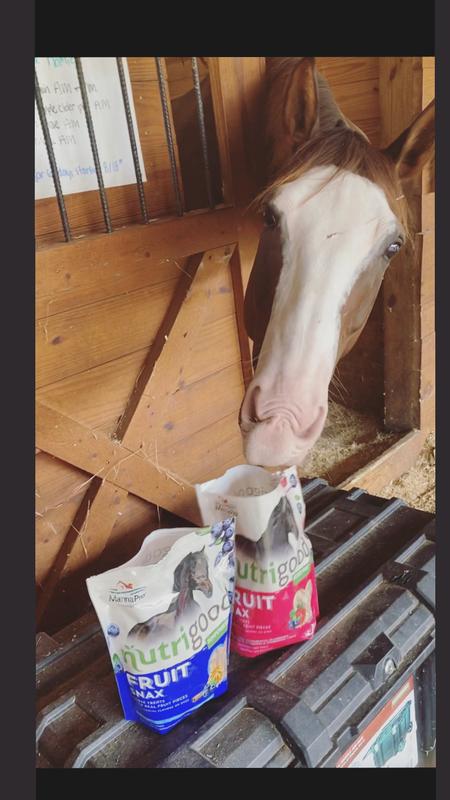 Dimples Horse Treats Manna Pro Nutrigood FruitSnax Horse Treats