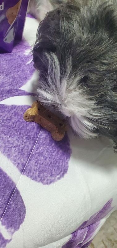 Review photo 6.