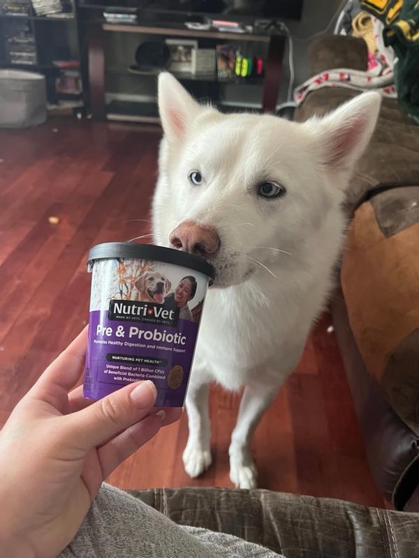 Nutri vet on sale probiotics for dogs