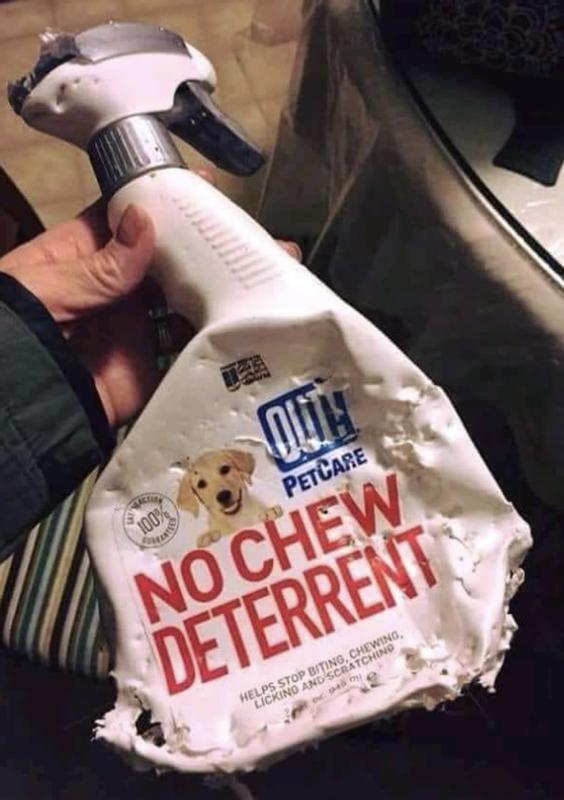 Out chew outlet deterrent