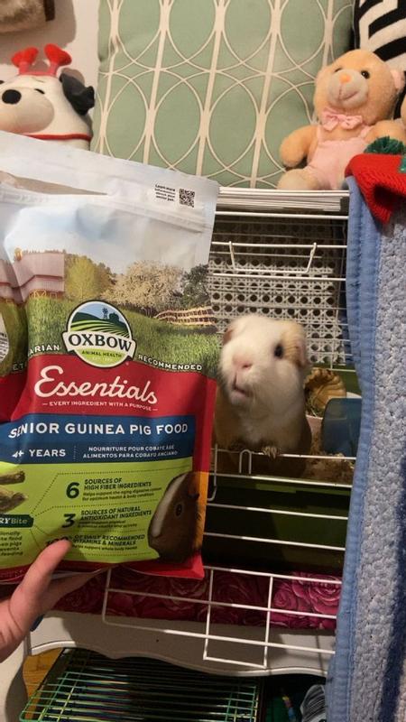 Essentials Senior Guinea Pig Food - Oxbow Animal Health