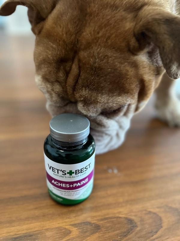 Aches and best sale pains dog supplement