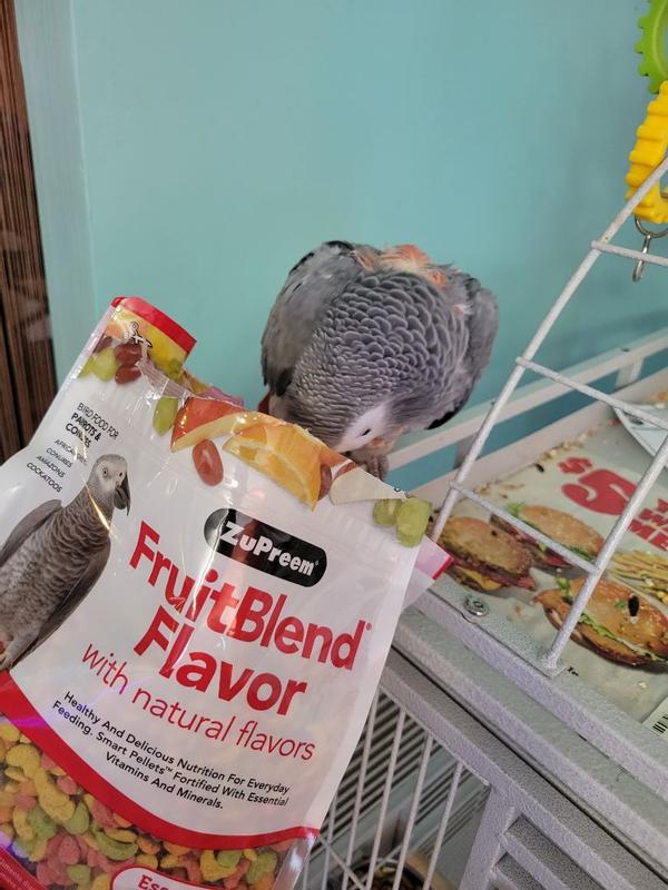 FruitBlend - ZuPreem Pet