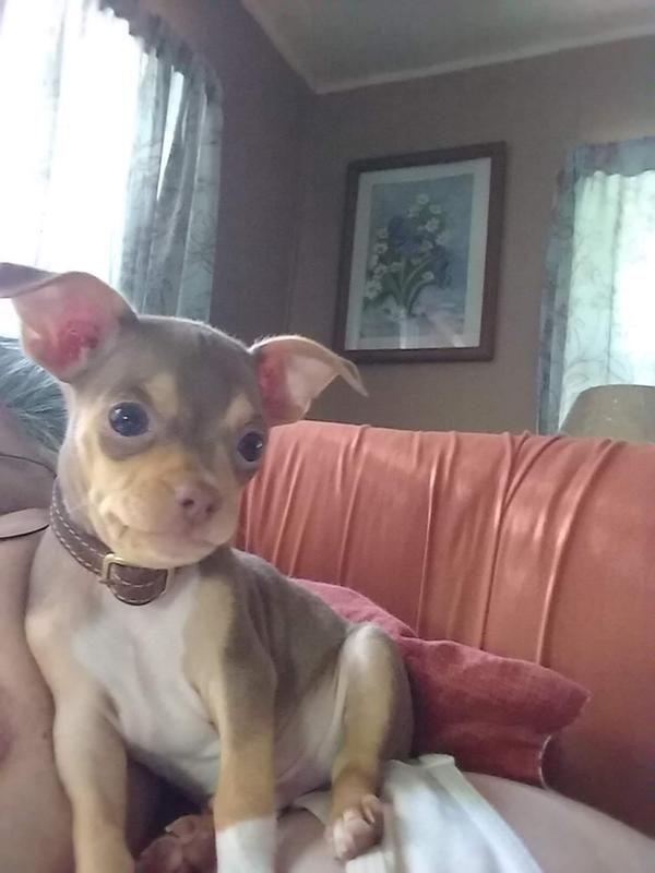 Little Man