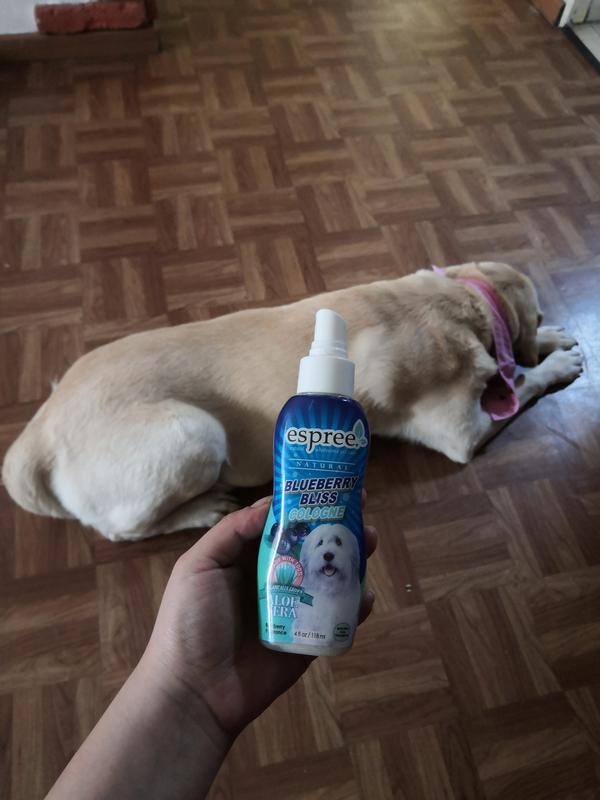 Blueberry dog outlet spray