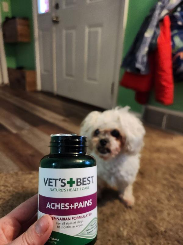 Aches and shop pains dog supplement