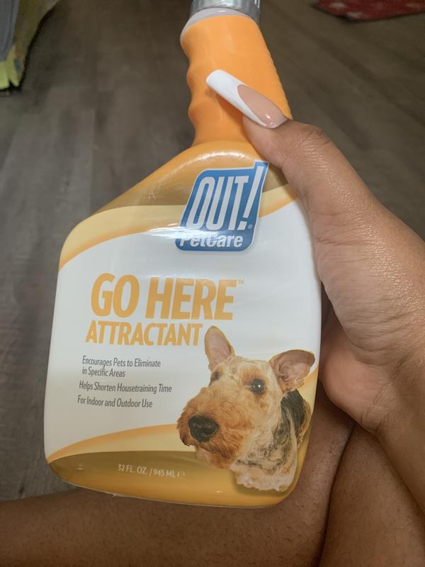 Diy go here shop spray for dogs