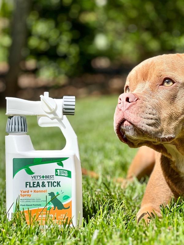 Best flea and tick treatment for yards hotsell