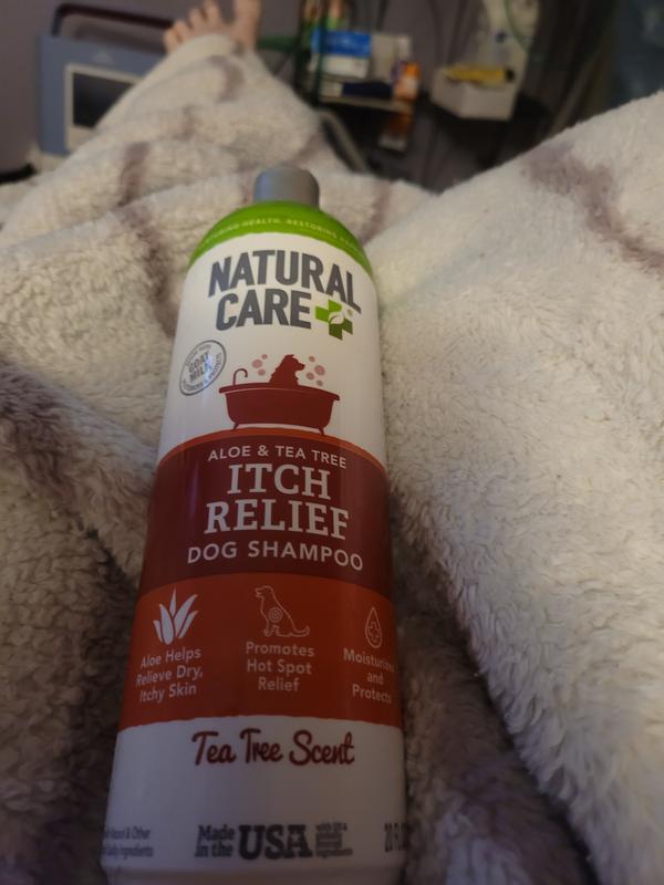 Natural care itch relief hot sale shampoo