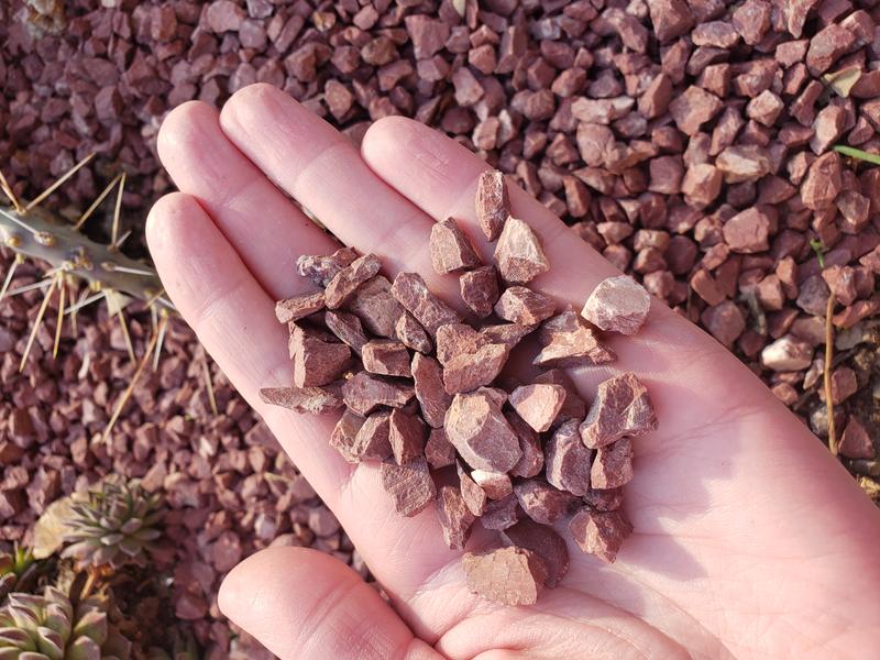 Size relative to hand