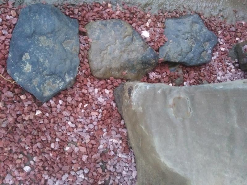 After Photo Using Margo's Garden Products!