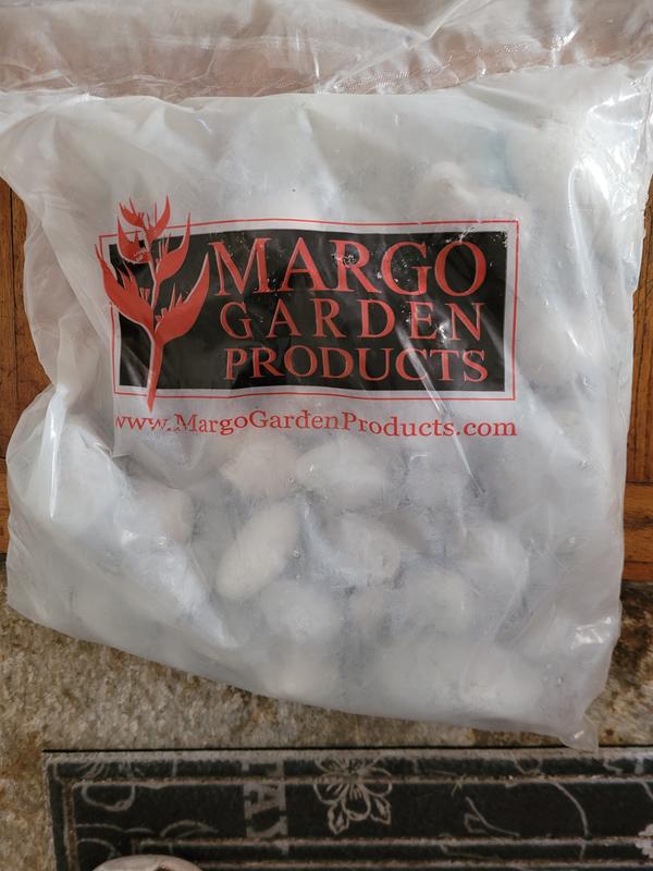 My Rainforest Pebbles