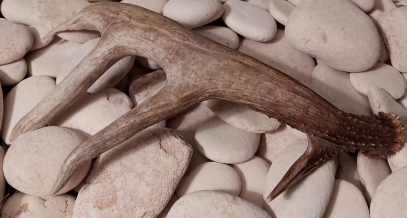 Appealing in display