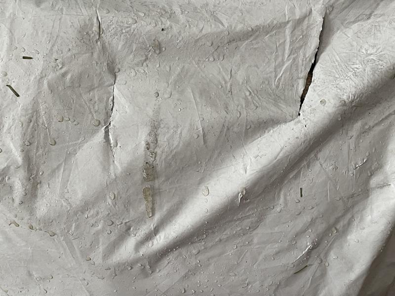 Slit packaging and laid in snow.