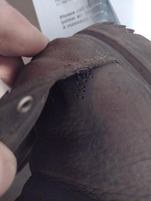 Review photo 5.