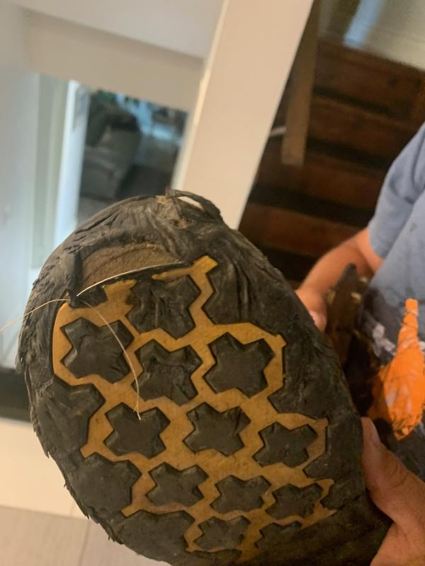 steel plate revealed