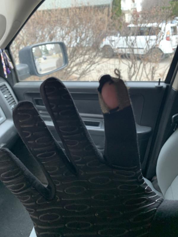 Holy Glove