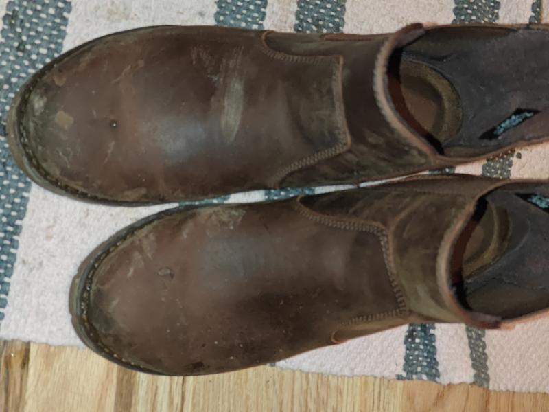 My Chelsea Commuter II already falling apart 30 days old