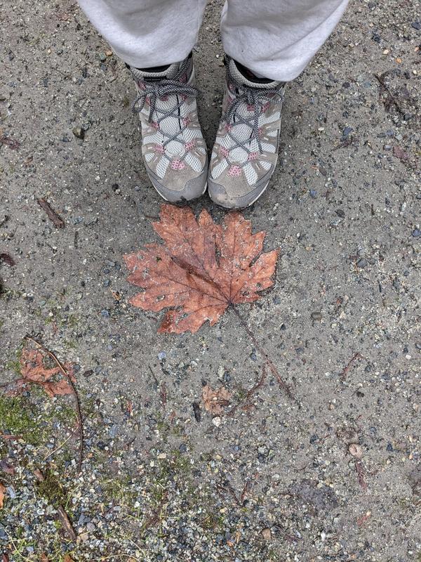 Merrell Women's Alverstone 2 Waterproof Mid Hiking Boots