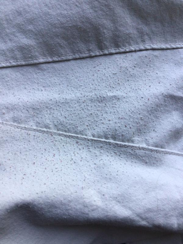 Review photo 3.