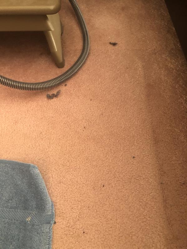 Sock fluff everywhere