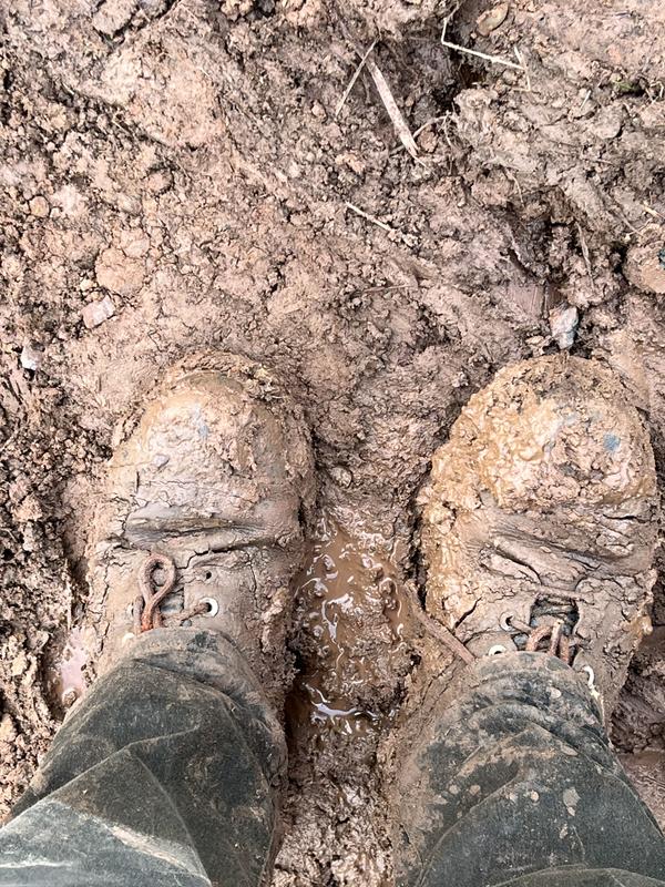 Only mud
