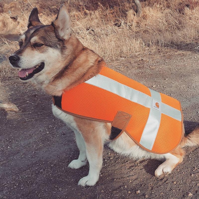 Carhartt Dog High Visibility Safety Vest - Orange | Mark's