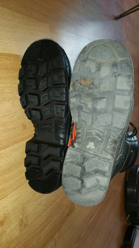 2 years 5 months old on the right. Pretty good life for the money.