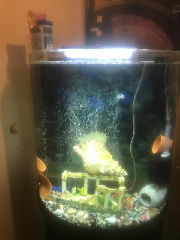 Marineland 30 Gallon Half Moon Aquarium Dimensions edu.svet.gob.gt