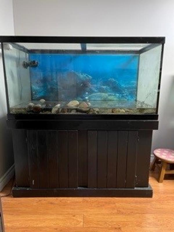 Standard Black Retangular Aquarium Marineland