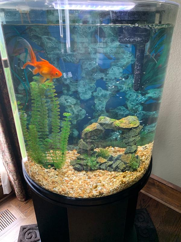 Marineland 30 Gallon Half Moon Tank Pet Supplies Plus