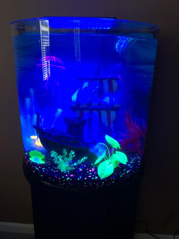 Half moon best sale fish tank