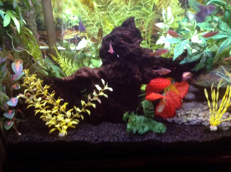 Marineland Hidden LED Aquarium Light Strip 21
