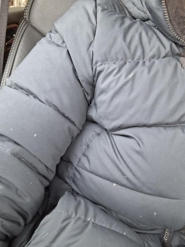 Feathers everywhere!