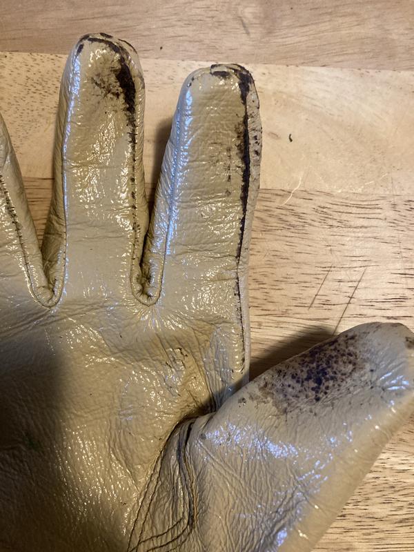 A couple days of use