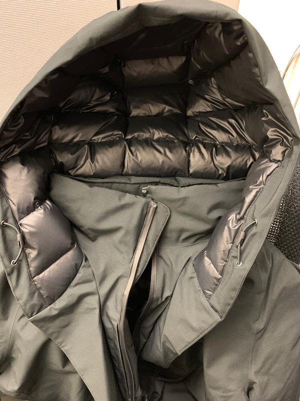 Hood with the hood adjusters.