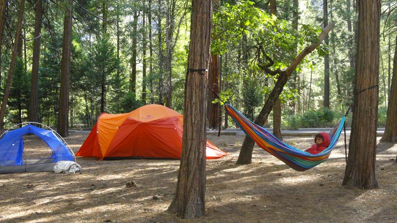 Halo 6-Person Tent | Marmot