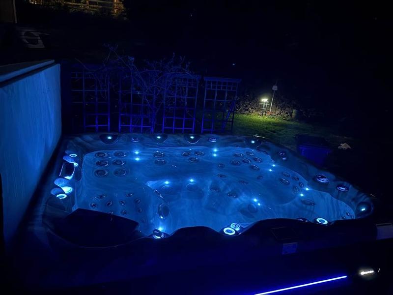 LSX 900 Hot Tub Model from Michael Phelps Legend Series